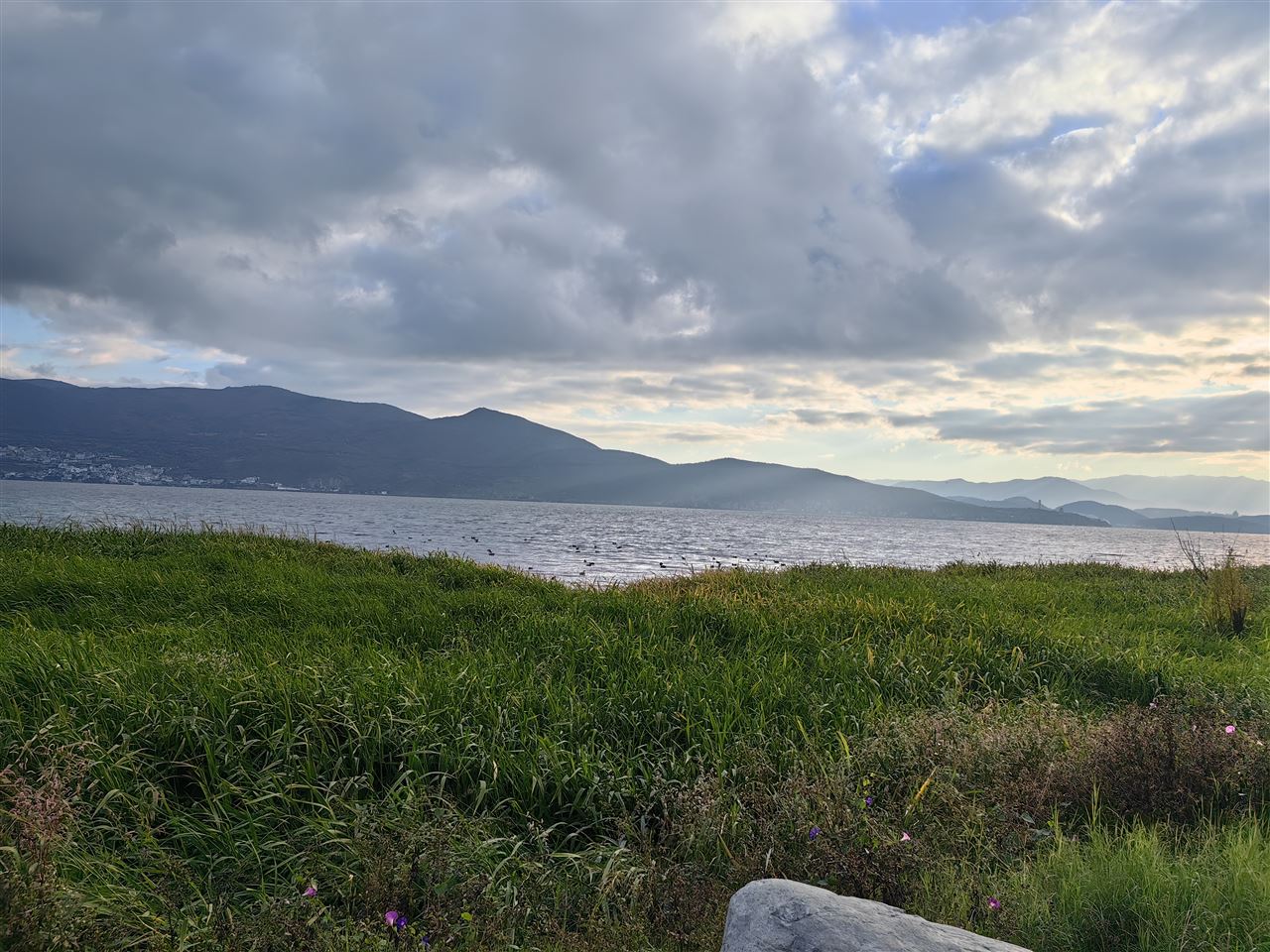 四川省研发的油菜抗湿气送式精量联合播种机入选第二届农机成果推广大赛优胜名单